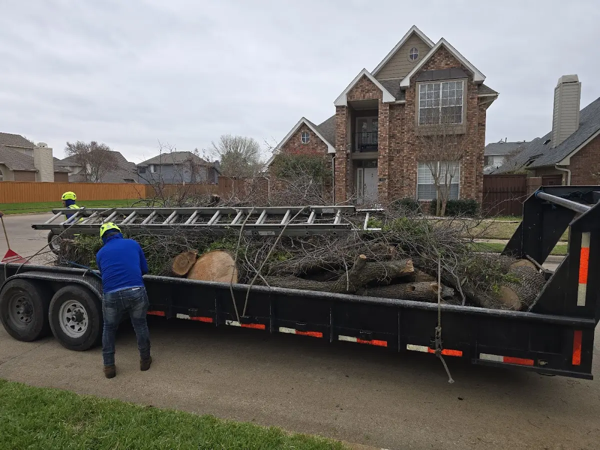 Expert Lot Clearing with proper safety equipment in La Mesa